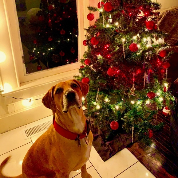 Meet your Posher, Matthew - Picture 1 of 1